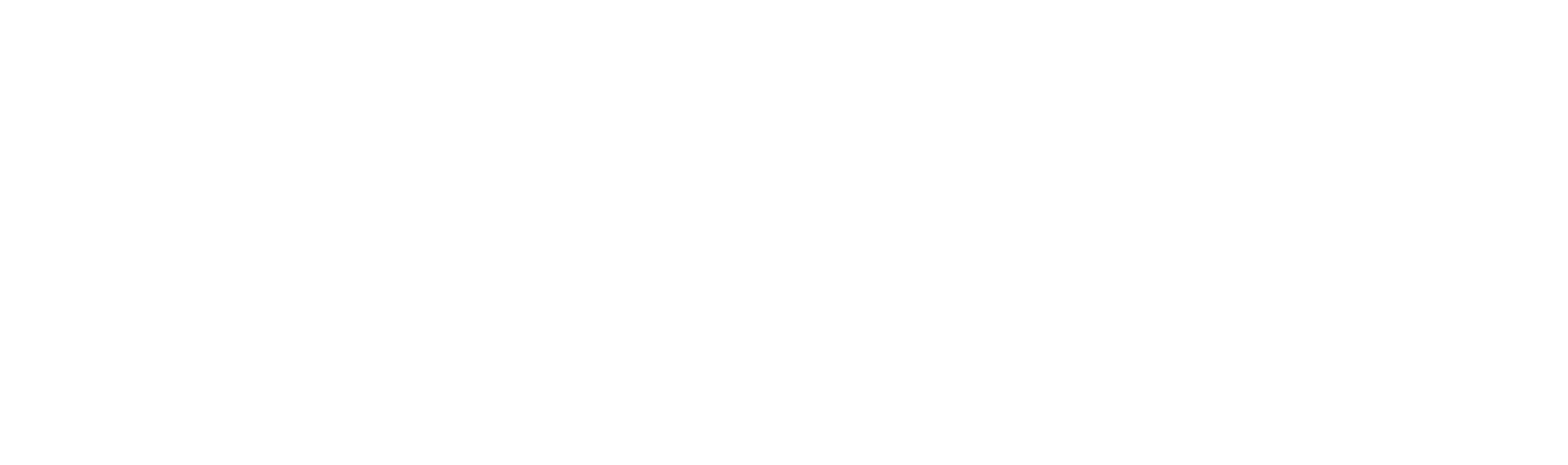 Protection Unlimited Logo